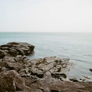 Picsum ID: 14